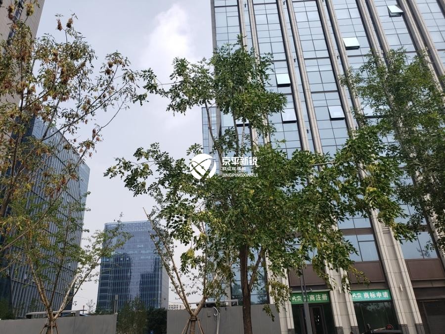 绿地环球文化金融城