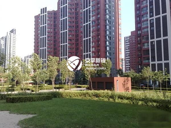 顺驰蓝调