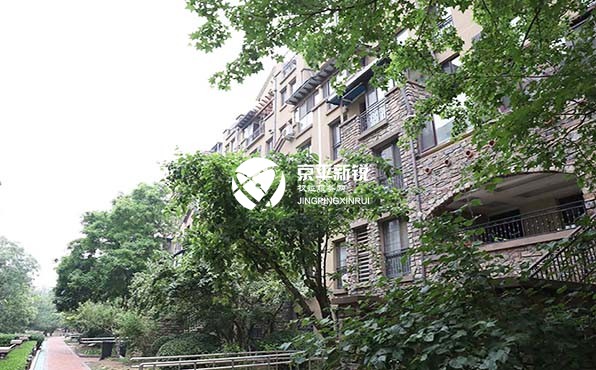金科帕提欧