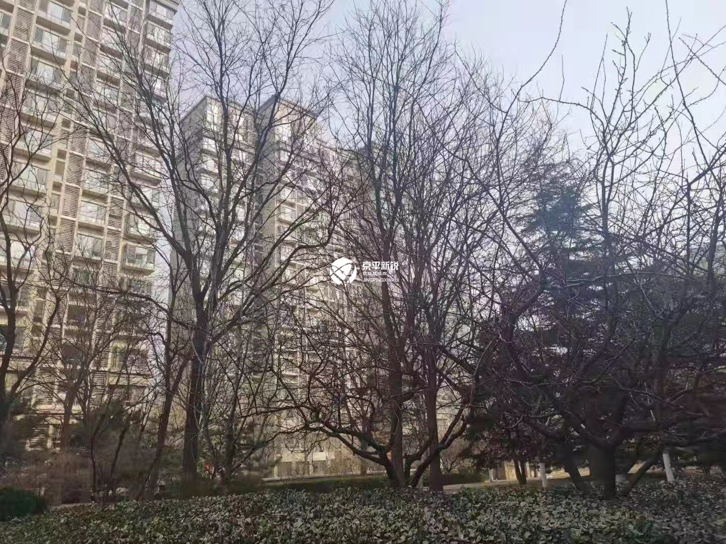 中信新城东区