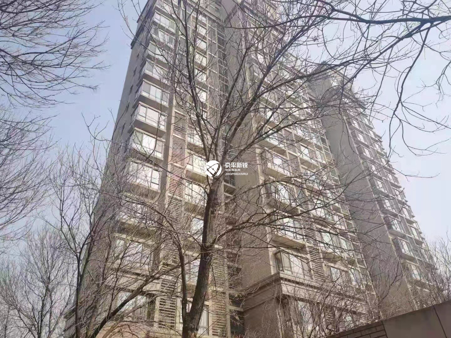 中信新城东区