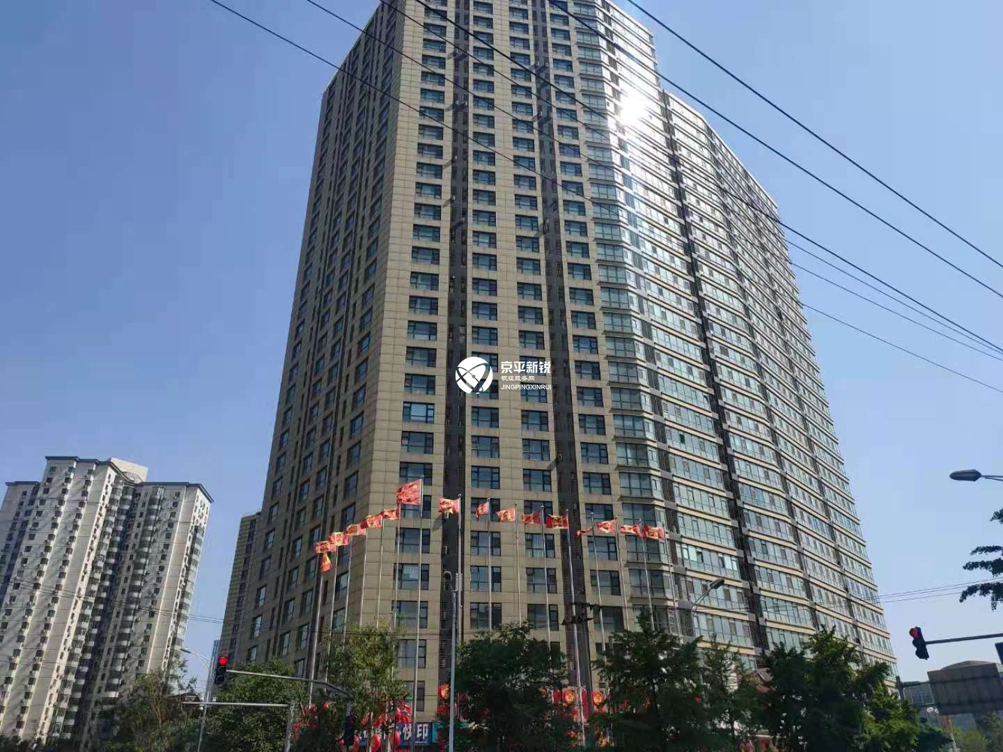 天龙华鹤
