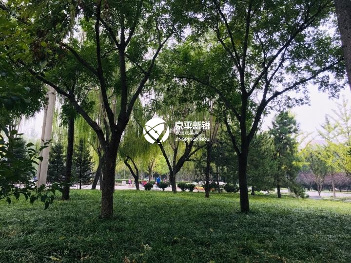 定慧东里