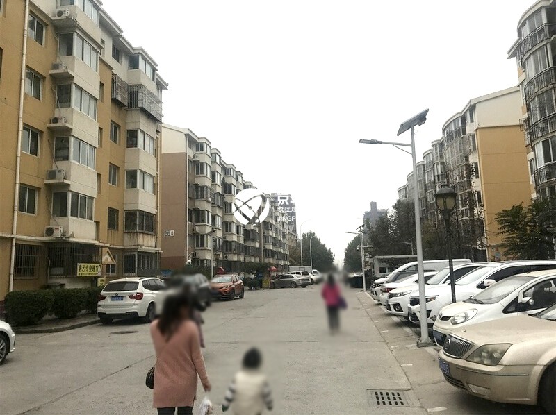 沁园春景